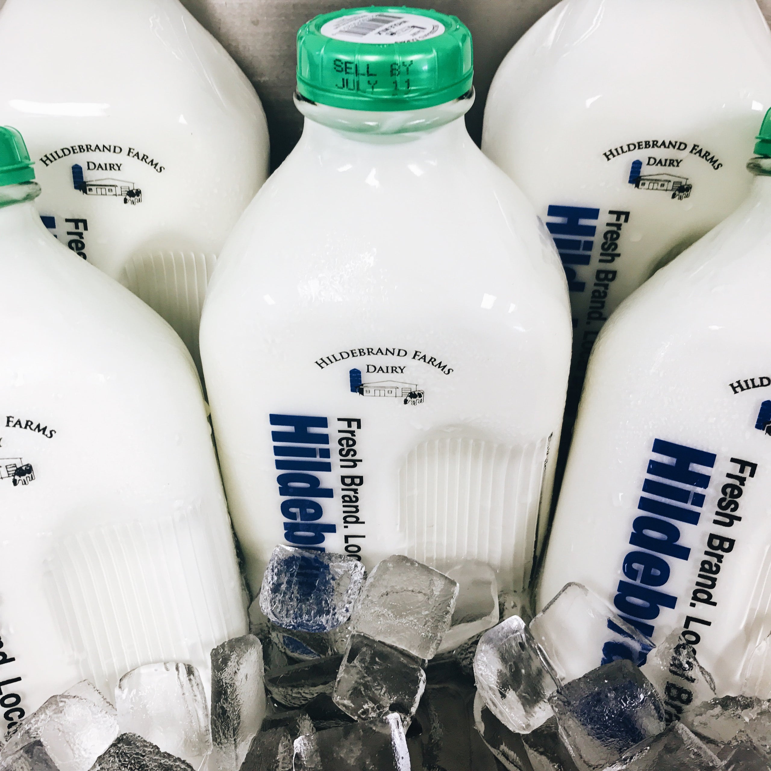 Hildebrand Milk & Heavy Cream by the Bottle JANE'S LANDING